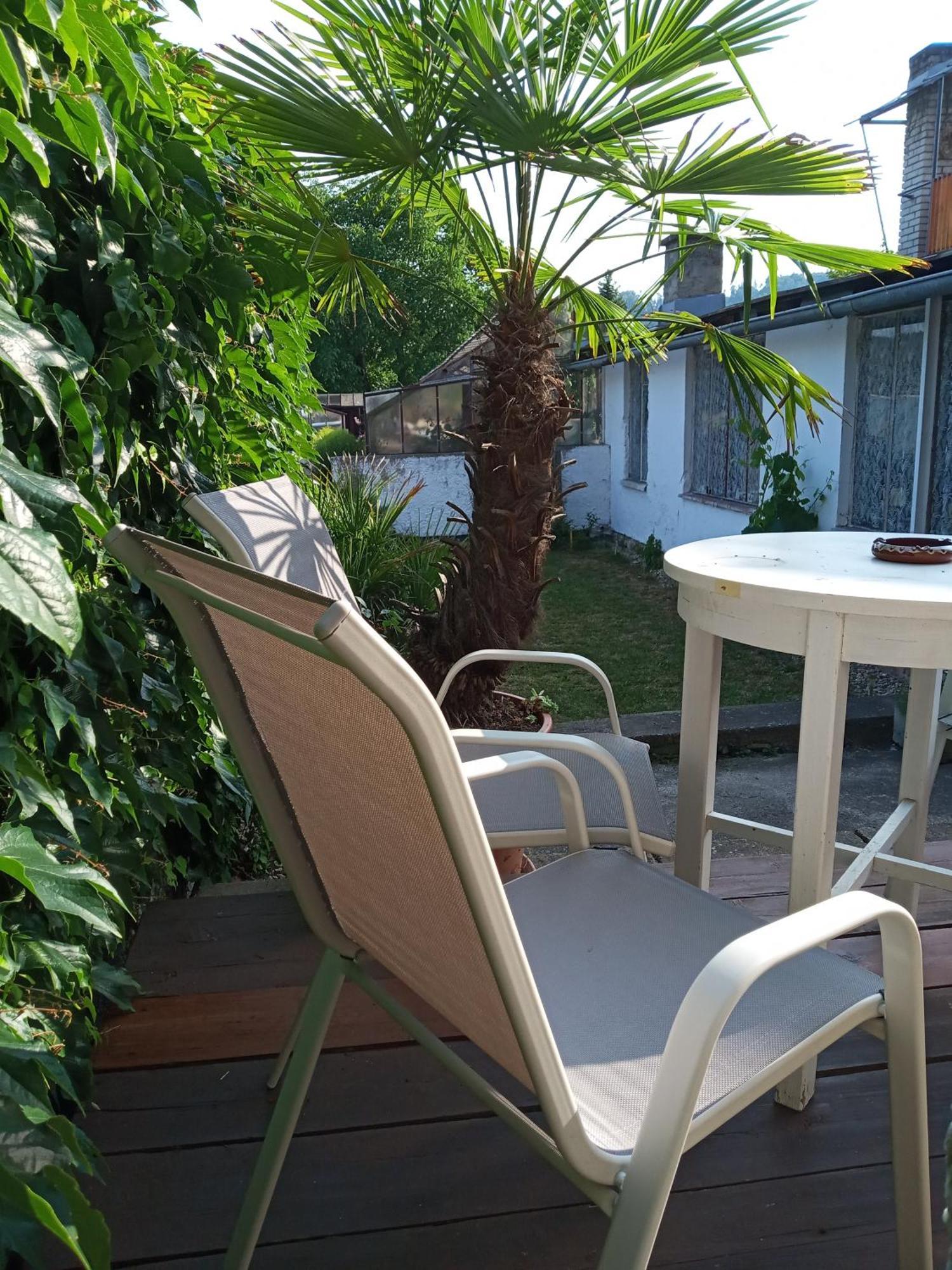 Apartman U Zebry Bílá Třemešná Eksteriør bilde
